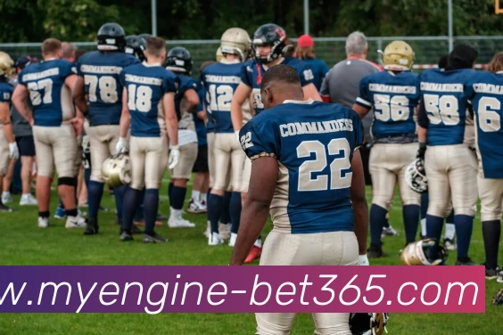 App Interface Preview